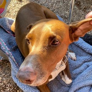 Meet your Posher, Karli